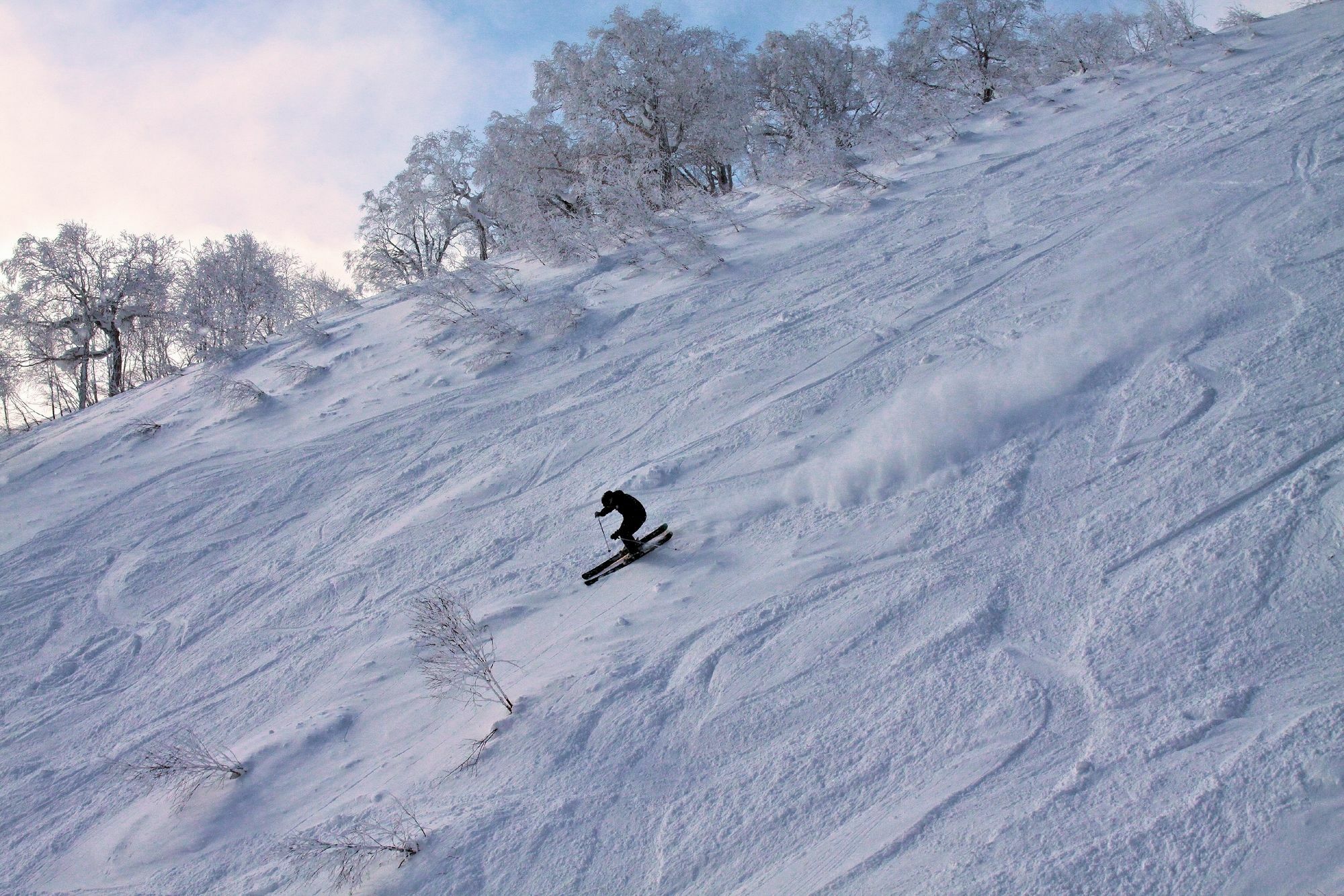 Chalet Ivy Hirafu, Niseko Luaran gambar